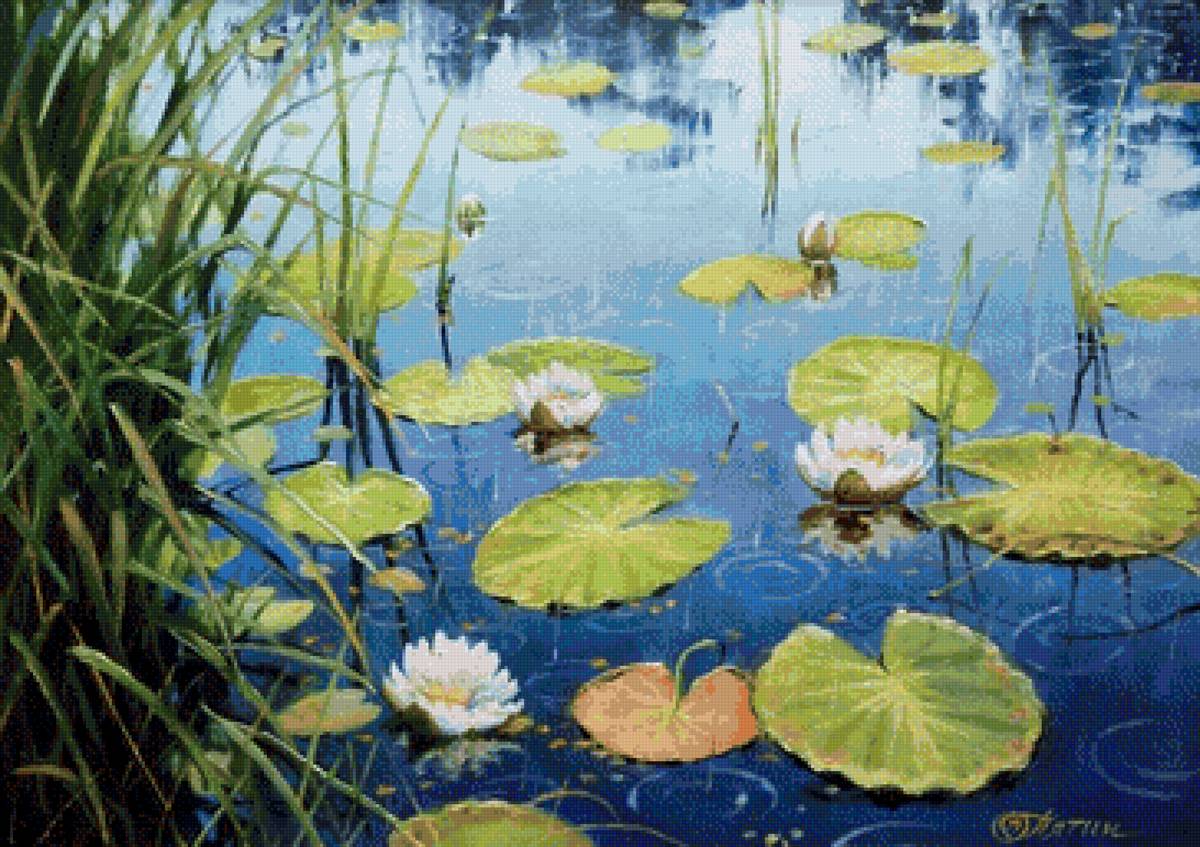 №2833657 - предпросмотр