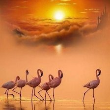 Схема вышивки «Птицы»