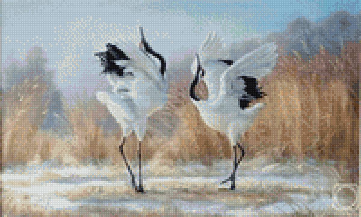 осенний танец - журавль, птицы, танец, осень - предпросмотр