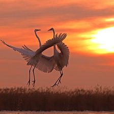 Схема вышивки «закат»