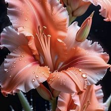 Схема вышивки «lilia»