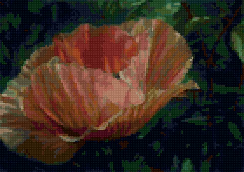 Георгий парфенов - цветы - предпросмотр