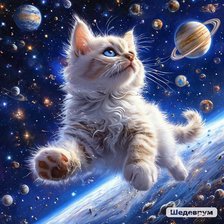 Схема вышивки «Новая звезда»