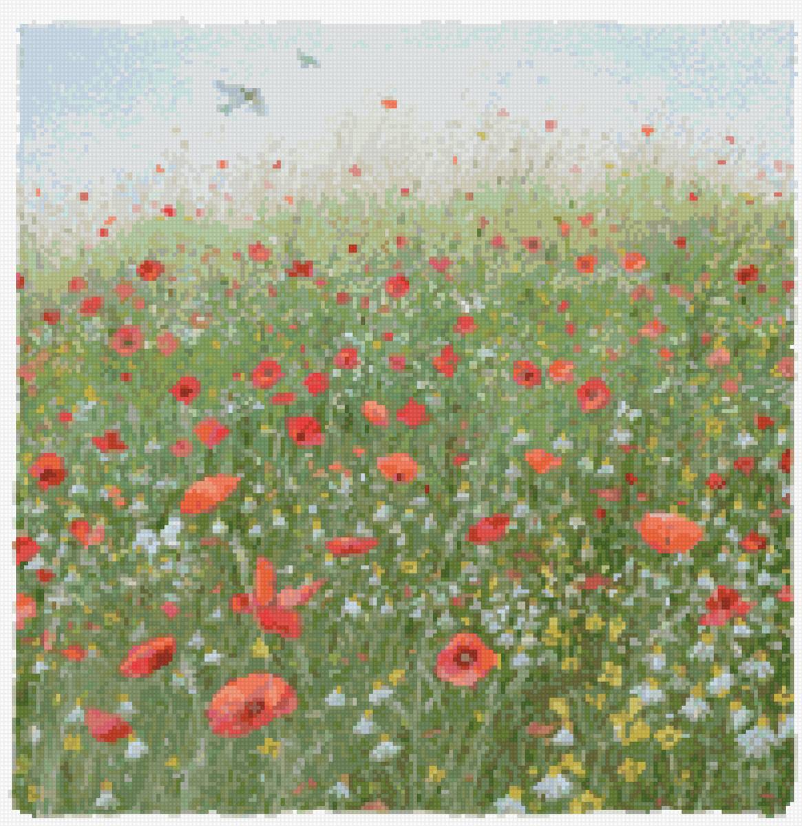 Люси гроссмит - лето цветы маки природа пейзаж - предпросмотр