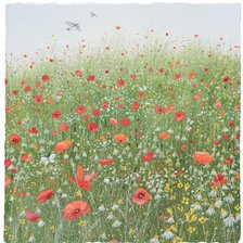 Люси гроссмит