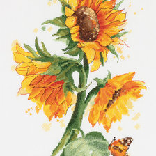 Схема вышивки «Подсолнушки»