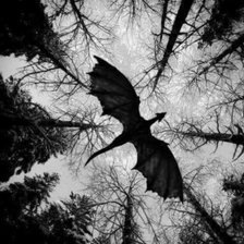 Схема вышивки «Полет»