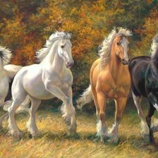 Схема вышивки «лошади»