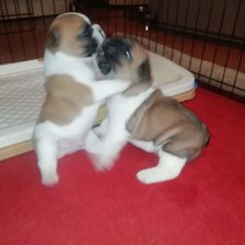 Схема вышивки «№2835640»