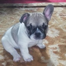 Схема вышивки «№2835644»