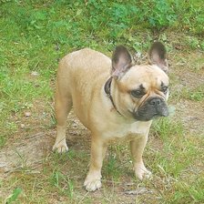 Схема вышивки «№2835648»