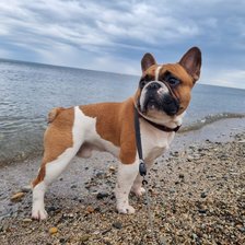 Схема вышивки «№2835649»