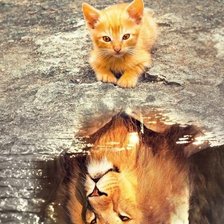 Схема вышивки «отражение»