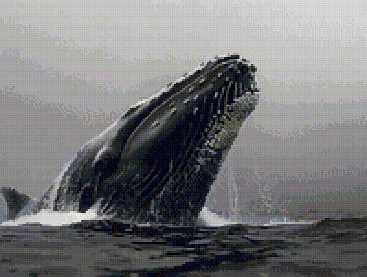 Кит - кит - предпросмотр