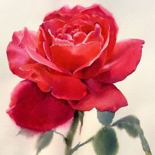 Схема вышивки «Роза»