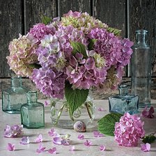 Схема вышивки «Гортензии»