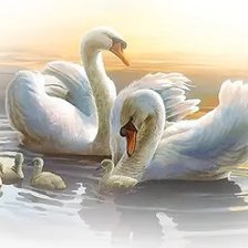 Схема вышивки «Лебединая семья»