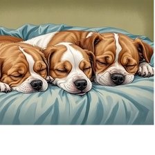 Схема вышивки «343х235»