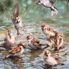 воробьи у воды