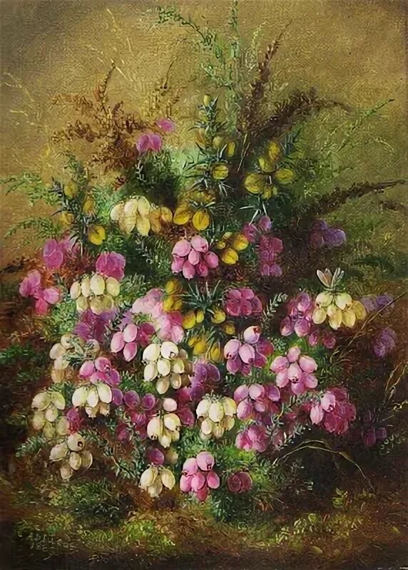 Альберт Дюрер лукас - природа сад цветы - оригинал