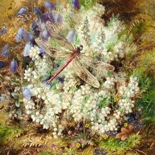 Схема вышивки «Альберт Дюрер лукас»