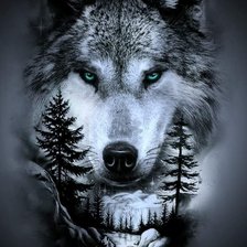 Схема вышивки «Волк»