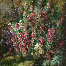 Альберт Дюрер лукас