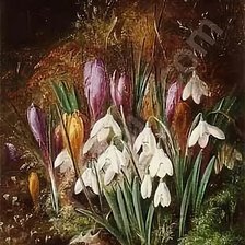 Схема вышивки «Альберт Дюрер лукас»