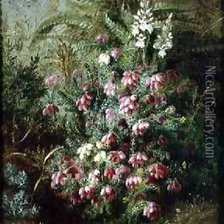 Схема вышивки «Альберт Дюрер лукас»