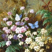 Схема вышивки «Альберт Дюрер лукас»