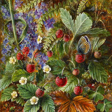 Схема вышивки «Альберт Дюрер лукас»