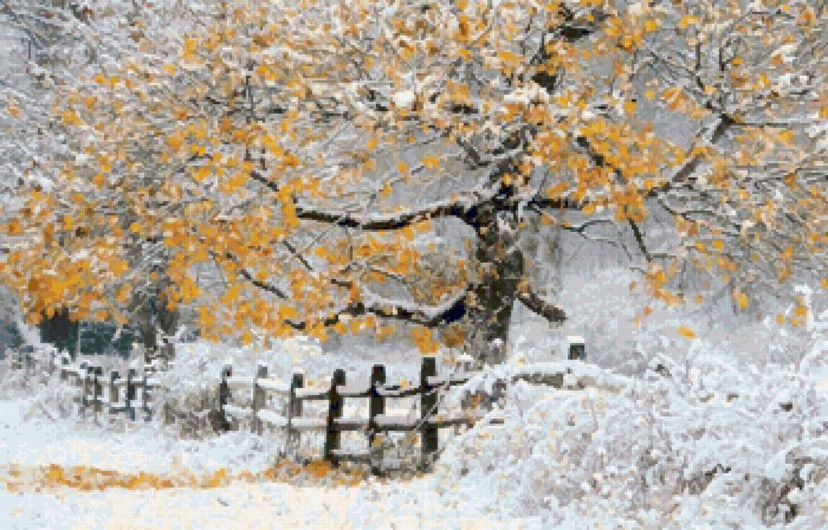 клен , ты  мой опавший - предпросмотр