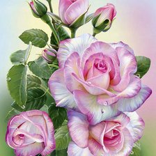 Схема вышивки «розы»