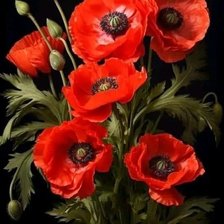 Схема вышивки «Маки»