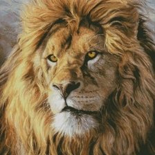 Схема вышивки «Лев»