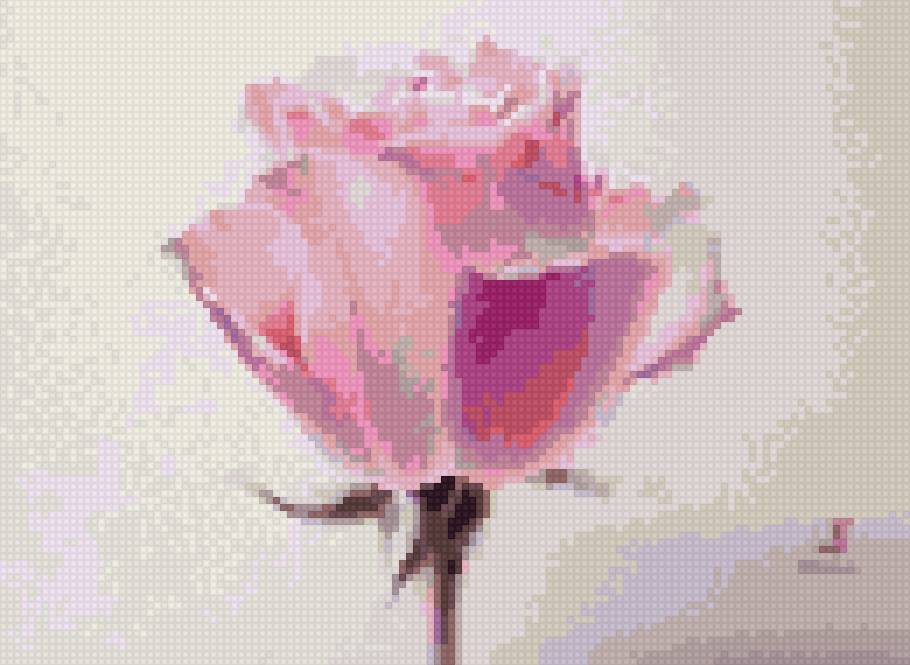 Ла фе - цветы розы - предпросмотр