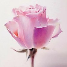 Схема вышивки «Ла фе»