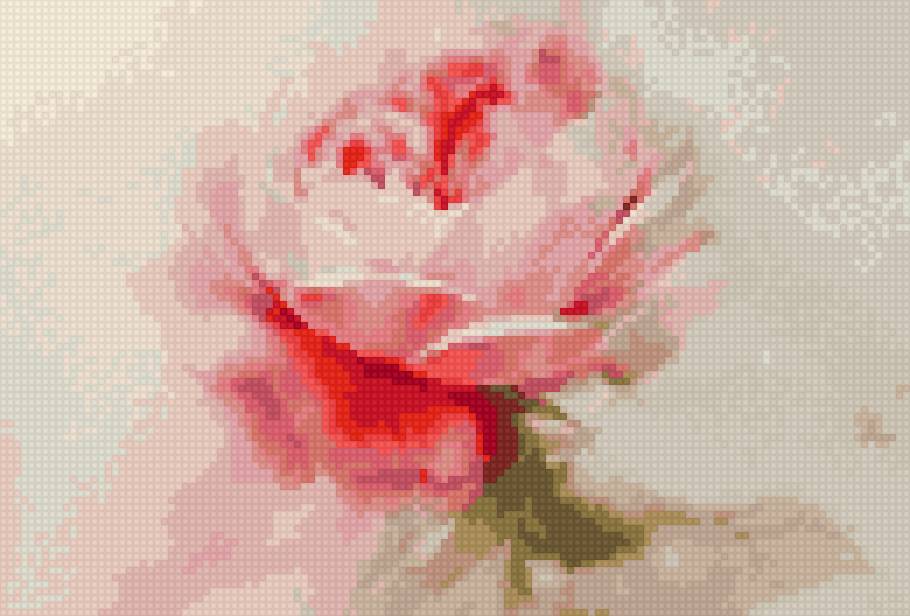 Ла фе - цветы розы - предпросмотр