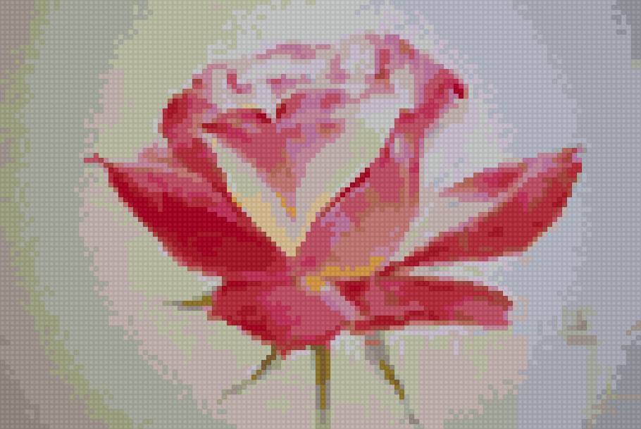 Ла фе - цветы розы - предпросмотр