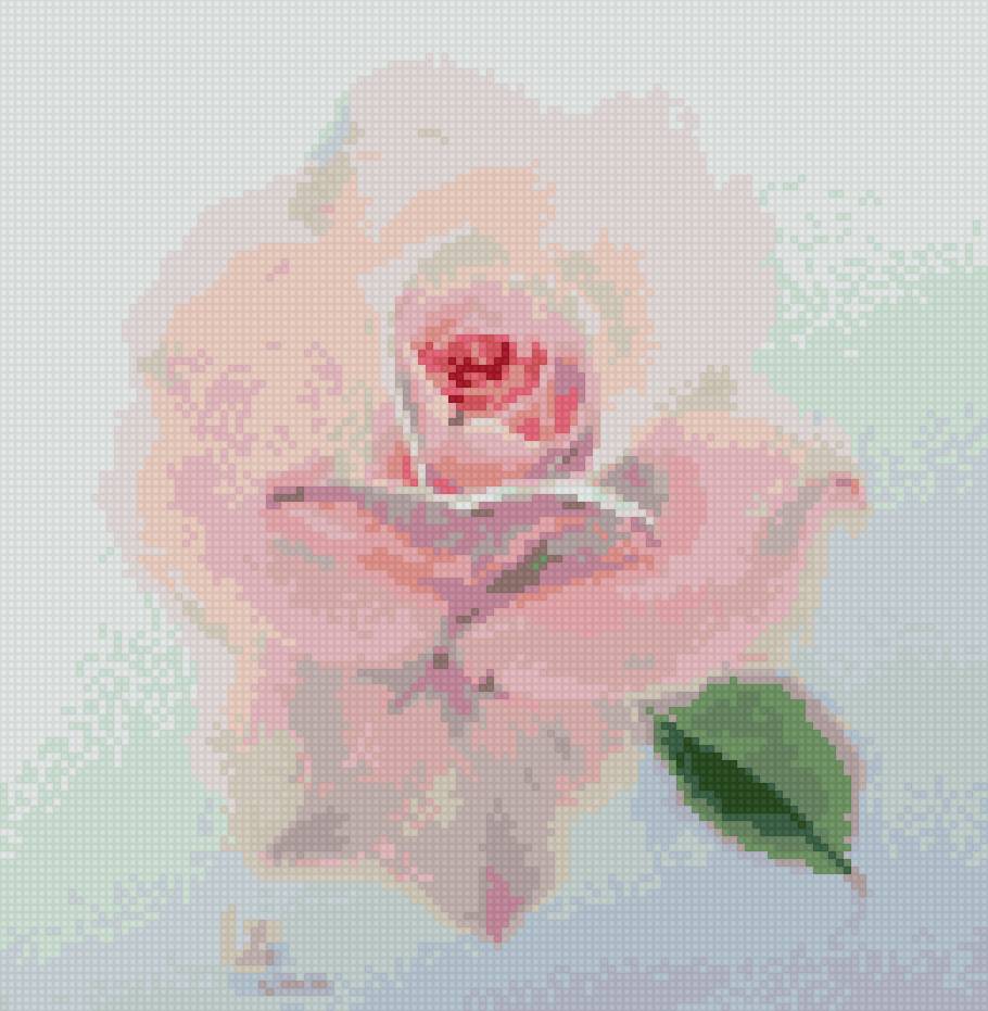 Ла фе - цветы розы - предпросмотр