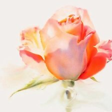 Схема вышивки «Ла фе»