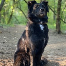 Схема вышивки «Джесси»