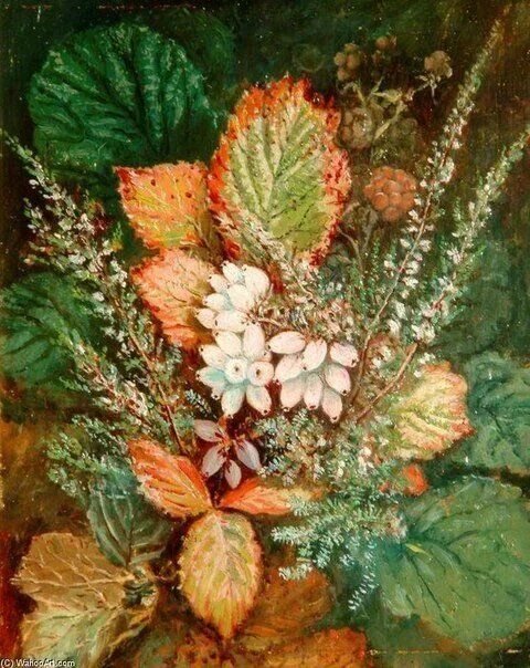 Альберт Дюрер лукас - природа деревья листья - оригинал