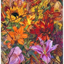 Схема вышивки «Джуди гарфин»