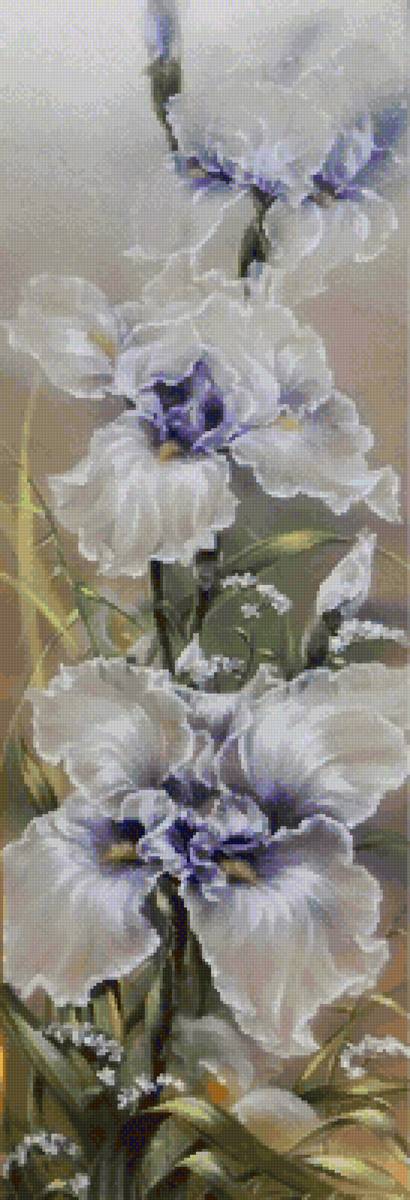 ПРОЗРАЧНЫЕ ИРИСЫ - букет, прозрачный, ирисы - предпросмотр