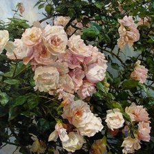 Схема вышивки «Плотников В»