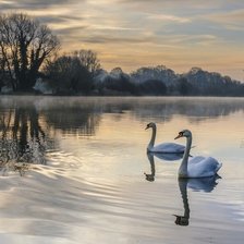 Схема вышивки «на озере»