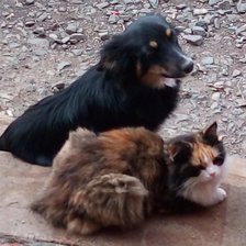 Схема вышивки «Друзья»