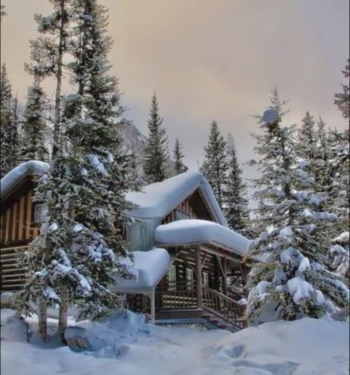 Домик в зимнем лесу - дом снег, лес, зима - оригинал