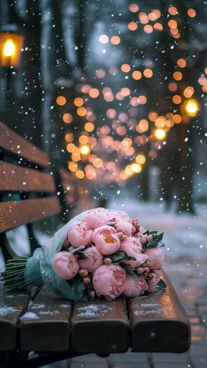 Розы на скамейке - цветы, новый год, розы - оригинал